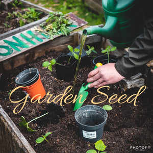 Garden Seed