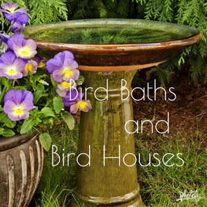 Bird Baths & Bird Houses