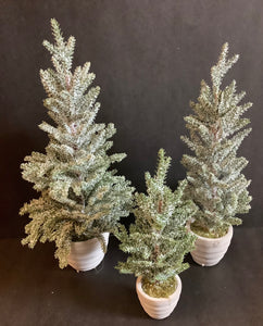 Snowy pine tree (3 sizes)