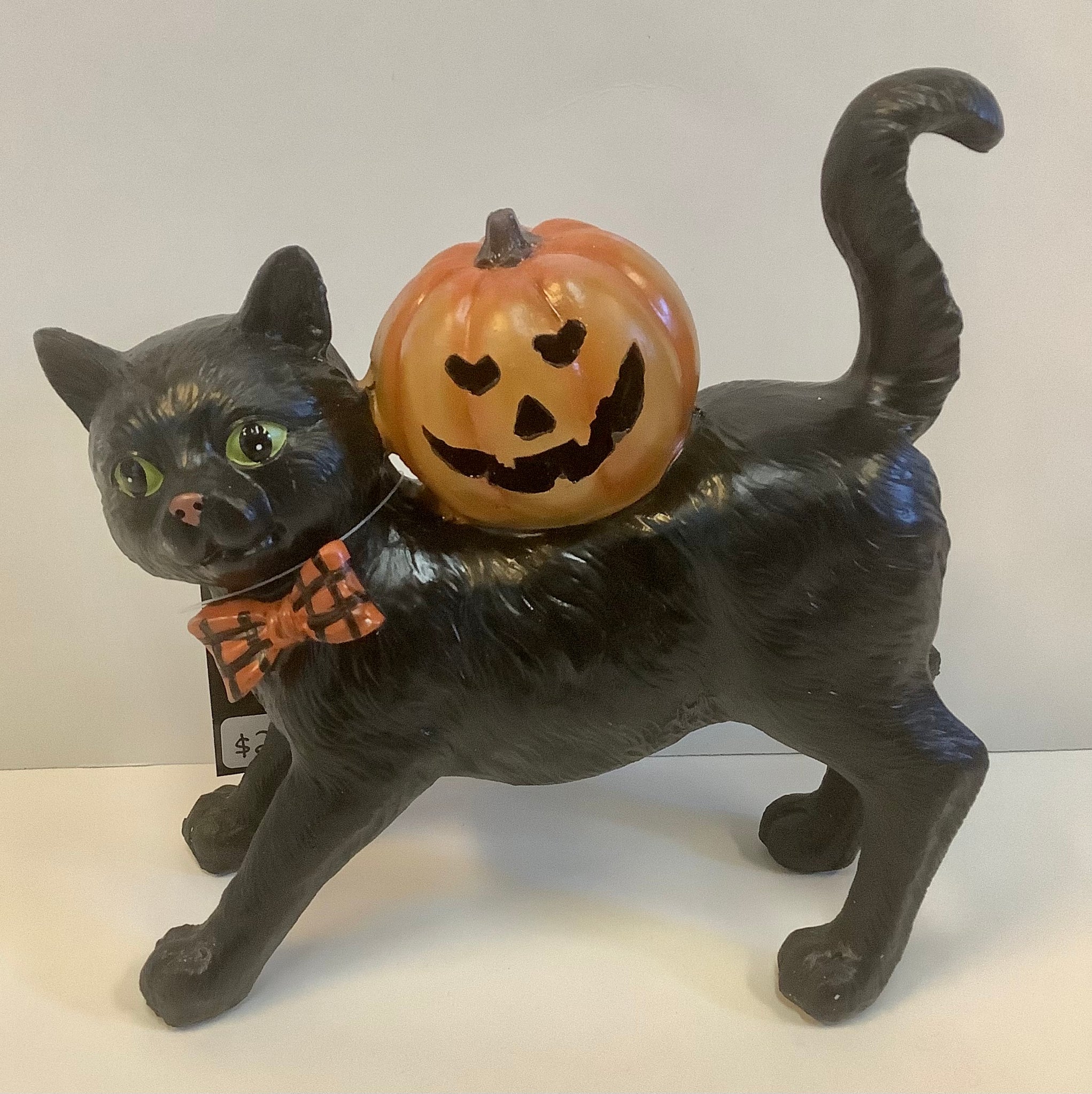 Black cat with lighted pumpkin