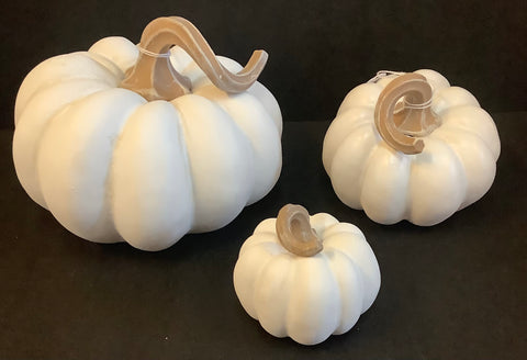 White harvest pumpkin (3 sizes)