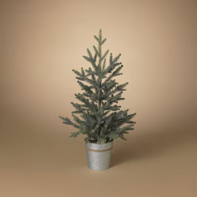 Pine tree in bucket