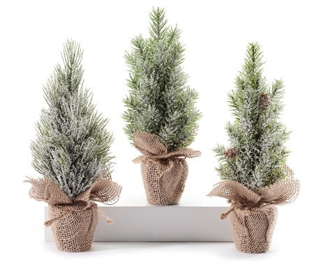 Mini pine tree (3 styles)