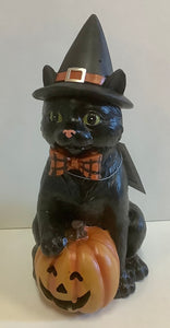 Black cat with witch hat lighted