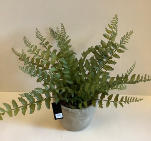 Faux Fern