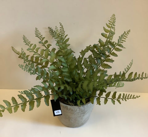 Faux Fern