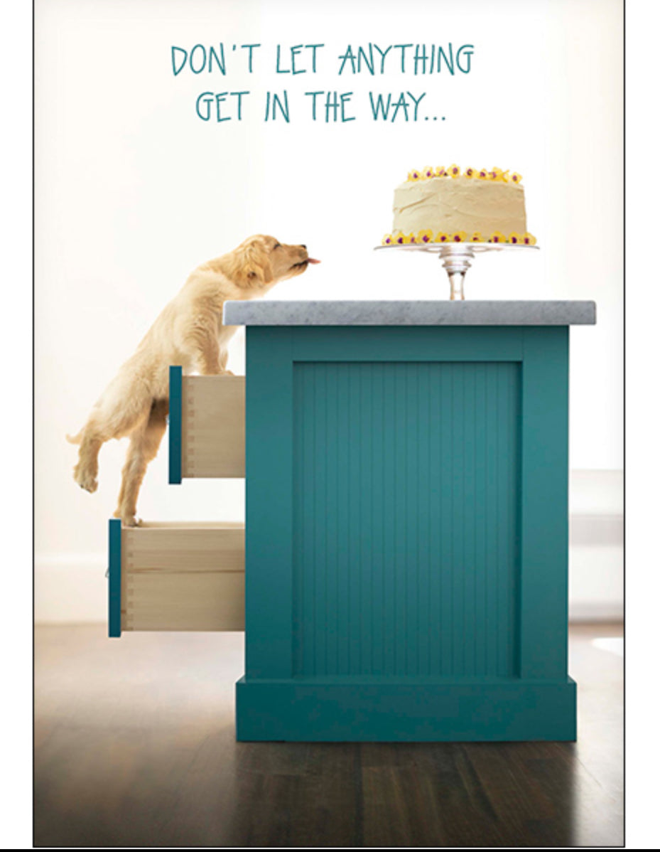 Birthday for Anyone
