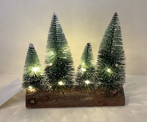 Trees on a log