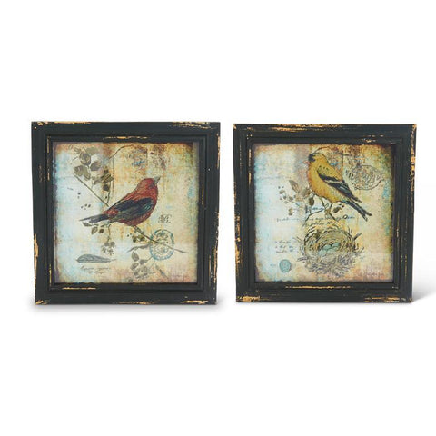 Square Framed Bird Prints (2 styles)