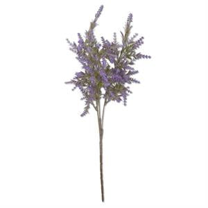 Lavender stem