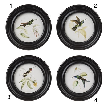 Hummingbird Wall Decor (4 styles)