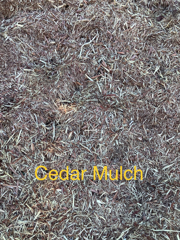 Bulk Mulch (3 kinds)
