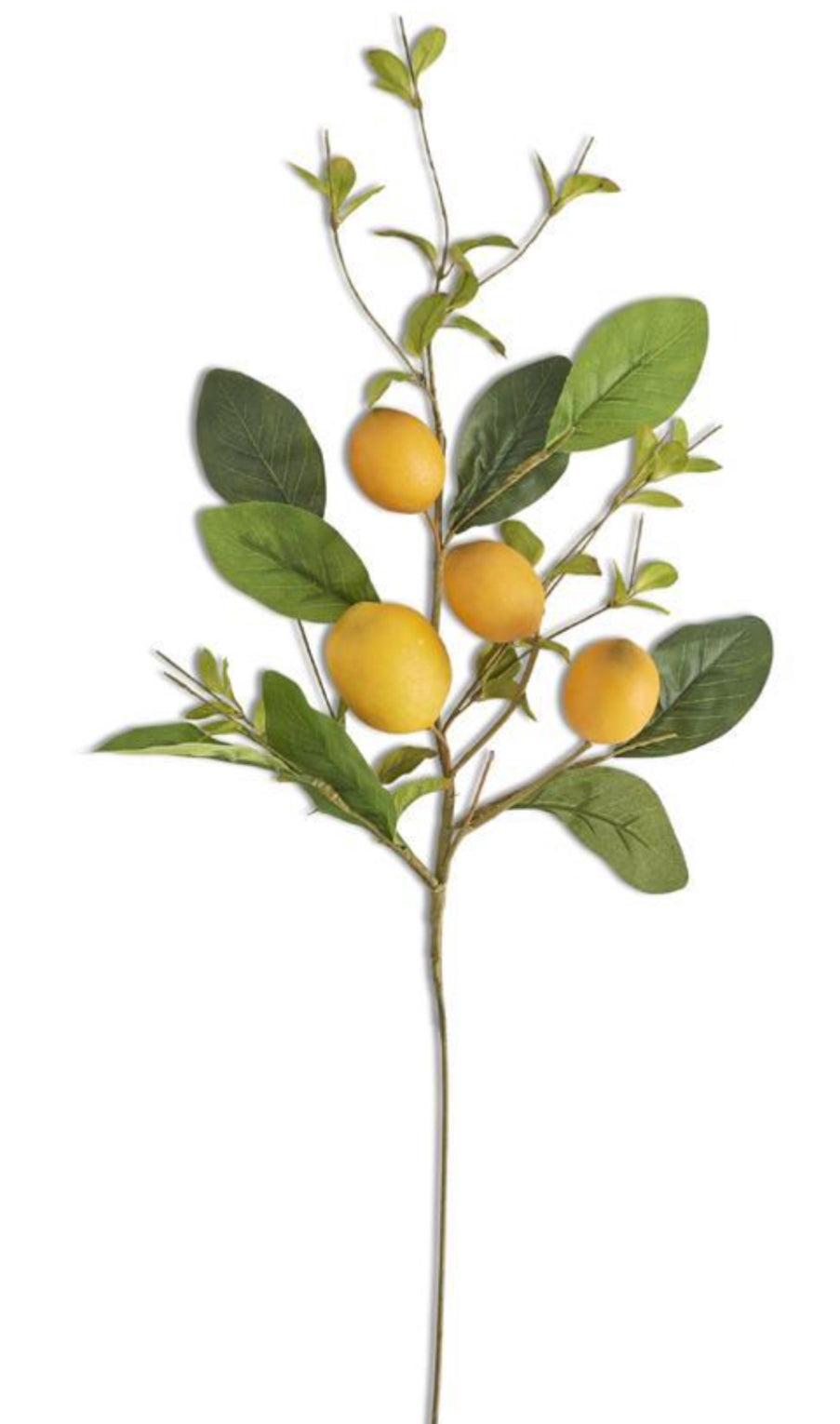 28 inch lemon foliage