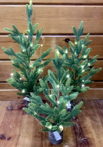 Light up Evergreen Tree (3 sizes)