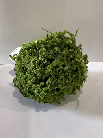 Mossy twig ball