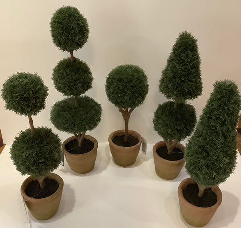 Cypress topiary (5 styles)