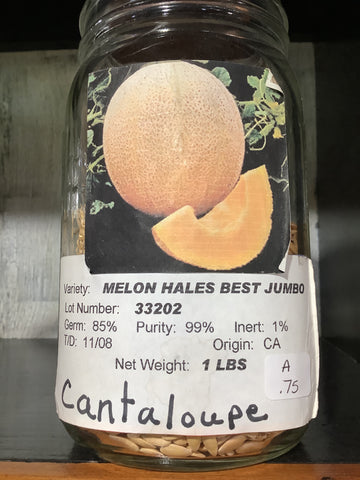Cantaloupe-Melon hales best jumbo