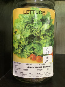 Lettuce-Black seeded Simpson