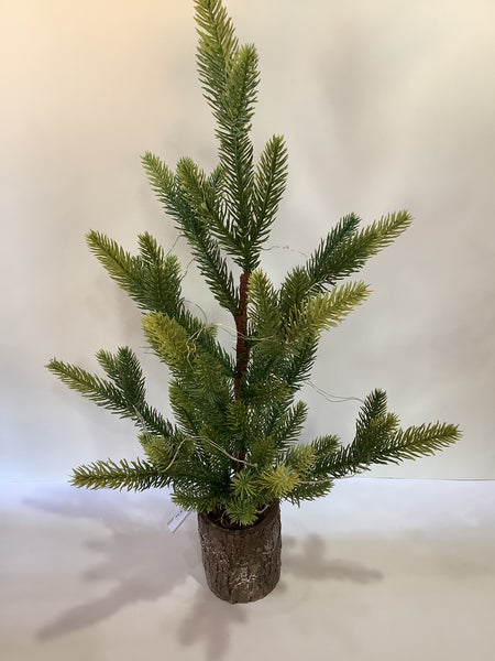 Light up Evergreen Tree (3 sizes)