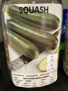 Squash-Zucchini dark green