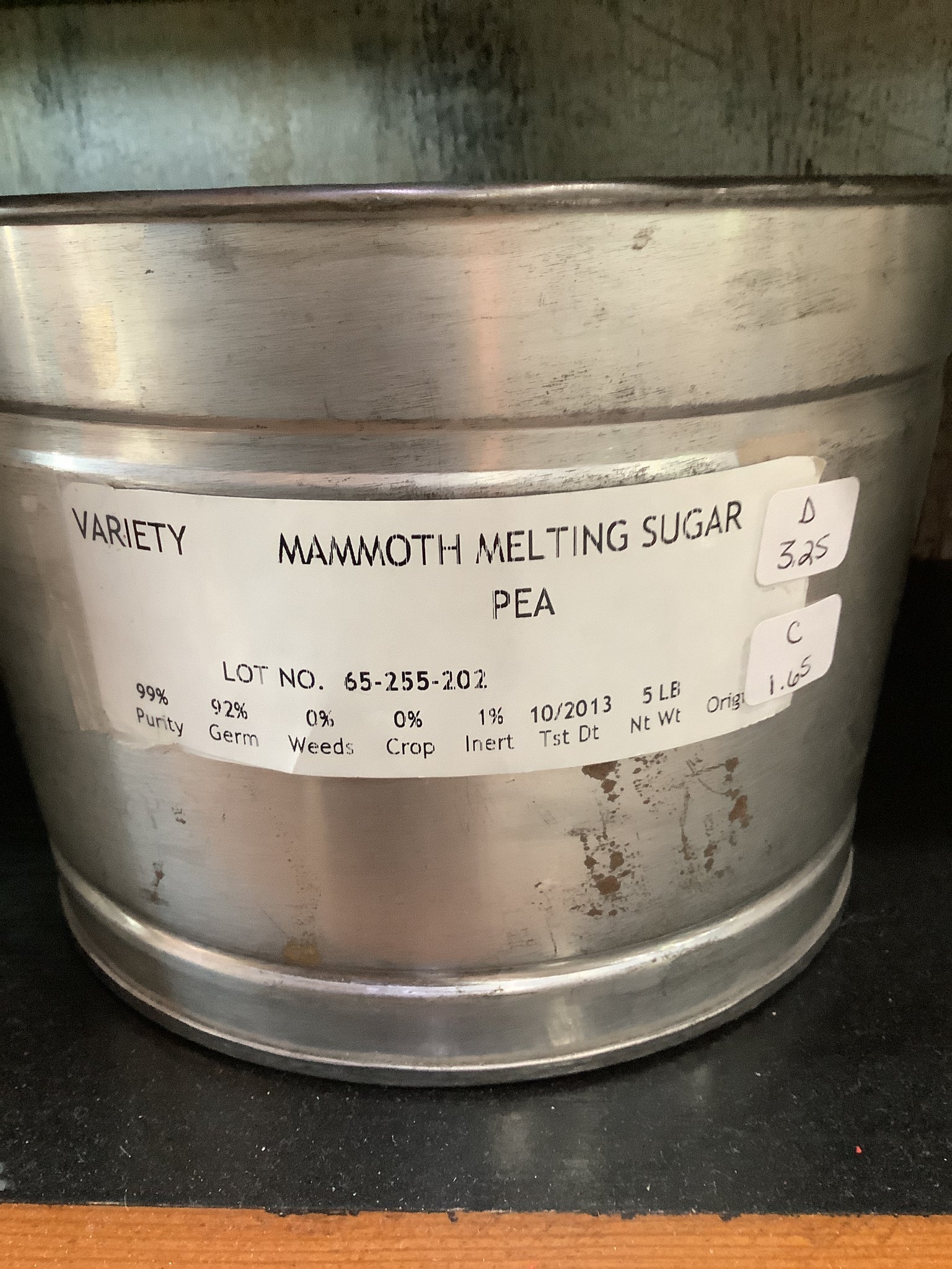 Pea-Mammoth melting sugar