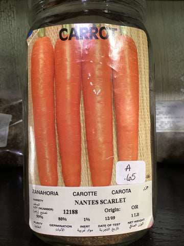 Carrot-Nantes scarlet