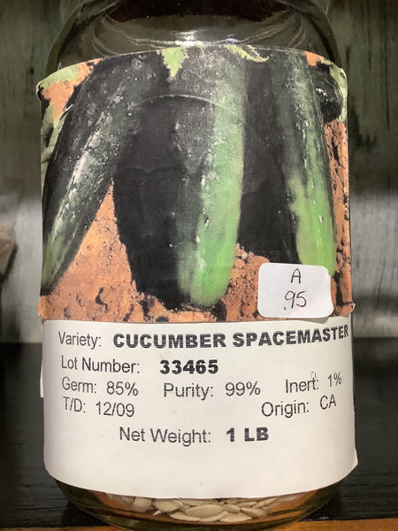 Cucumber-Space master