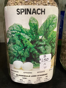 Spinach-Bloomsdale long standing