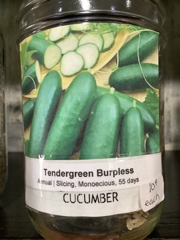 Cucumber- Tendergreen burpless