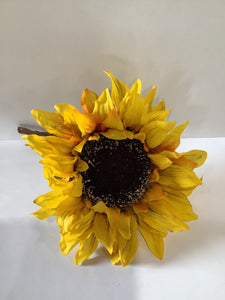 Sunflower pick
