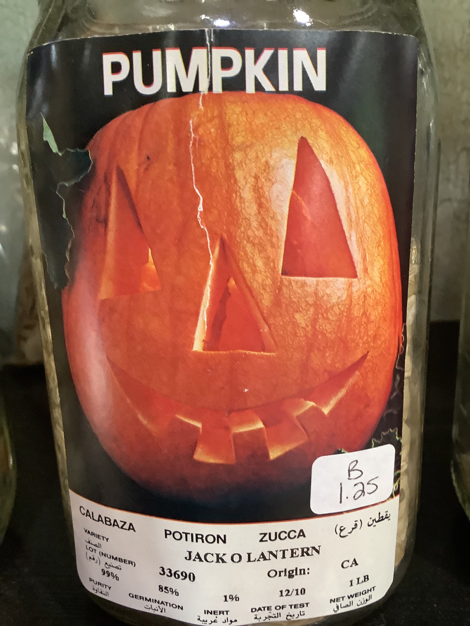 Pumpkin-Jack O Lantern