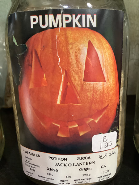 Pumpkin-Jack O Lantern