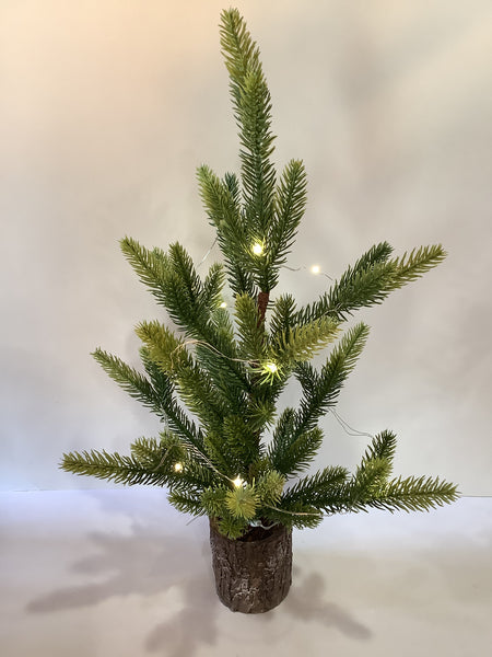 Light up Evergreen Tree (3 sizes)